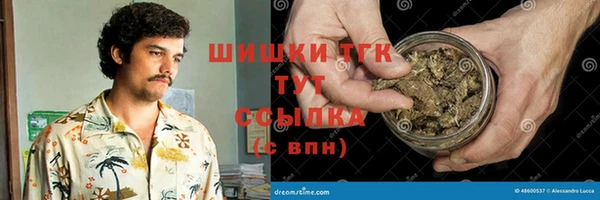 трава Слюдянка