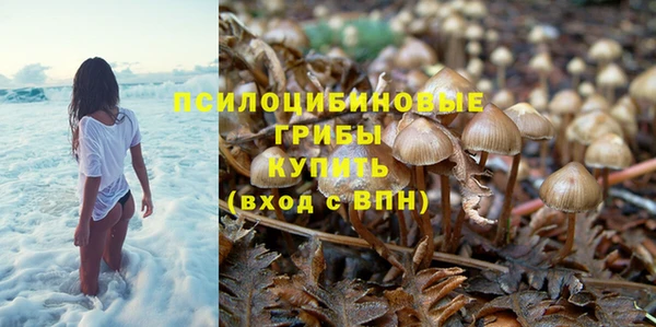 прущая мука Армянск